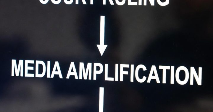 Media, Rulings & Policy Flow: How Courts Quietly Shape South African Governance